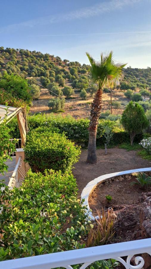 Βlueview Villa Ermióni Eksteriør bilde